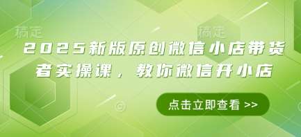 2025新版原创微信小店带货者实操课，教你微信开小店网赚项目-副业赚钱-互联网创业-独家轻创IP星泽云创
