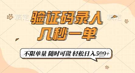 验证码录入，几秒钟一单，只需一部手机即可开始，随时随地可做，每天5张+【揭秘】网赚项目-副业赚钱-互联网创业-独家轻创IP星泽云创