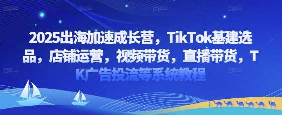 2025出海加速成长营，TikTok基建选品，店铺运营，视频带货，直播带货，TK广告投流等系统教程网赚项目-副业赚钱-互联网创业-独家轻创IP星泽云创