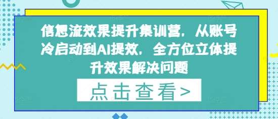 信息流效果提升集训营，从账号冷启动到AI提效，全方位立体提升效果解决问题网赚项目-副业赚钱-互联网创业-独家轻创IP星泽云创