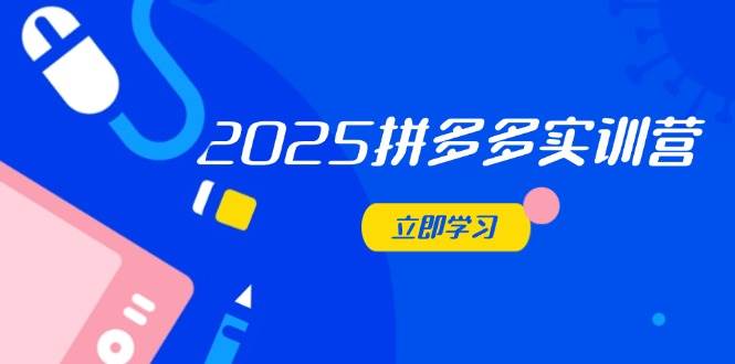 （14531期）2025拼多多实训营：深度剖析运营关键，助力电商人快速提升网赚项目-副业赚钱-互联网创业-独家轻创IP星泽云创