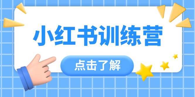 小红书训练营，助小白入门，掌握技巧变达人，课程实操又全面（12节课）网赚项目-副业赚钱-互联网创业-独家轻创IP星泽云创
