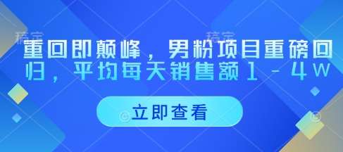 重回即颠峰，男粉项目重磅回归，平均每天销售额1-4W网赚项目-副业赚钱-互联网创业-独家轻创IP星泽云创