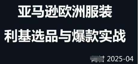 跨境电商选品案例24-25年，聚焦跨境电商选品策略与运营优化，助力卖家挖掘蓝海市场网赚项目-副业赚钱-互联网创业-独家轻创IP星泽云创
