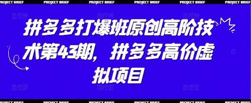 拼多多打爆班原创高阶技术第43期，拼多多高价虚拟项目网赚项目-副业赚钱-互联网创业-独家轻创IP星泽云创