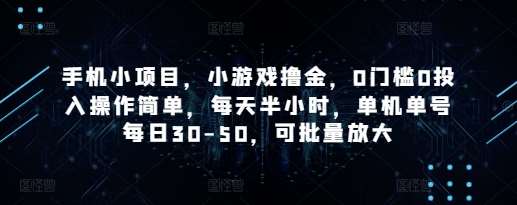 手机小项目，小游戏撸金，0门槛0投入操作简单，每天半小时，单机单号每日30-50，可批量放大网赚项目-副业赚钱-互联网创业-独家轻创IP星泽云创