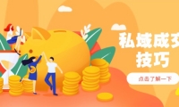 （14566期）私域成交技巧，帮你从入门到精通，破解四大痛点，快速变现，轻松收钱网赚项目-副业赚钱-互联网创业-独家轻创IP星泽云创