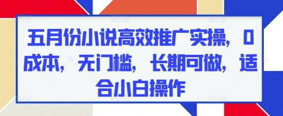 五月份小说高效推广实操，0成本，无门槛，长期可做，适合小白操作网赚项目-副业赚钱-互联网创业-独家轻创IP星泽云创