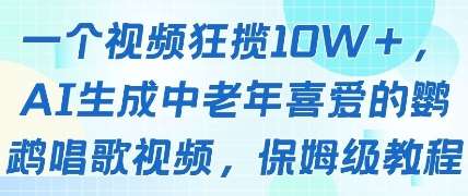 一个视频狂揽10W+点赞，AI生成中老年喜爱的鹦鹉唱歌视频，保姆级教程，轻松挣取创作者分成网赚项目-副业赚钱-互联网创业-独家轻创IP星泽云创