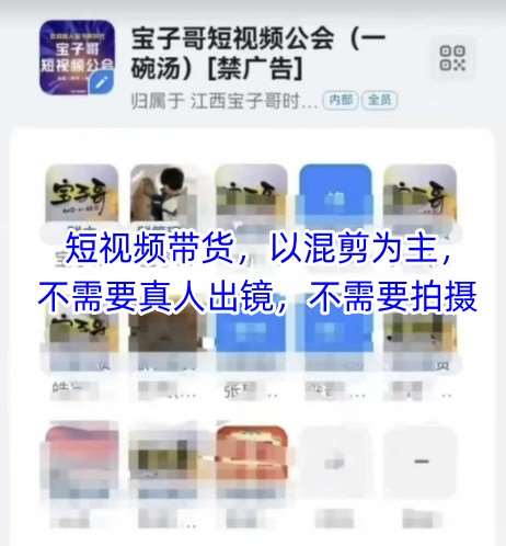 宝子哥头部团队短视频带货，以混剪为主，不需要真人出镜，不需要拍摄网赚项目-副业赚钱-互联网创业-独家轻创IP星泽云创