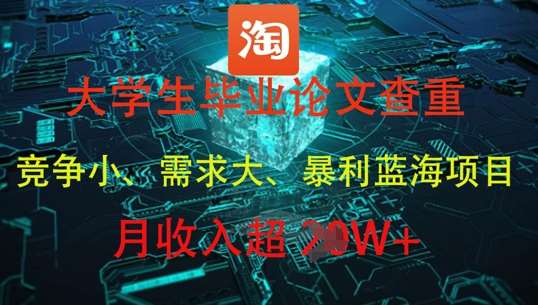 大学生毕业论文查重，暴利蓝海项目，月收入过1W+网赚项目-副业赚钱-互联网创业-独家轻创IP星泽云创