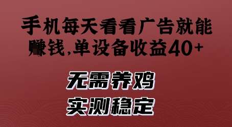 手机每天看看广告就能挣钱，单设备收益40+，无需养鸡，实测稳定【揭秘】网赚项目-副业赚钱-互联网创业-独家轻创IP星泽云创