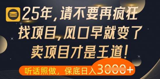 什么？25年你还在疯狂找项目做，醒醒吧，看完这些你全都懂了【揭秘】网赚项目-副业赚钱-互联网创业-独家轻创IP星泽云创