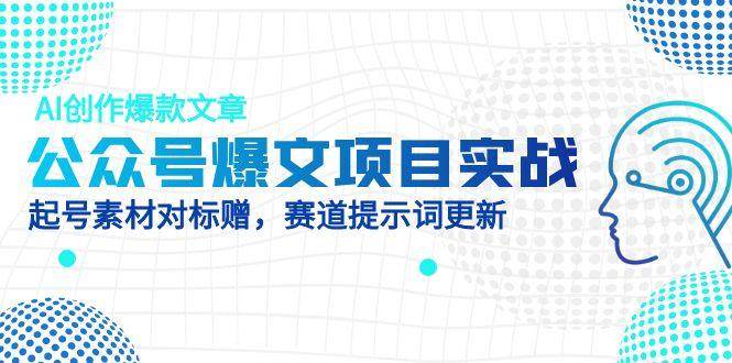 （14709期）公众号爆文项目实战，AI创作爆款文章，起号素材对标赠（附赛道AI提示词）网赚项目-副业赚钱-互联网创业-独家轻创IP星泽云创
