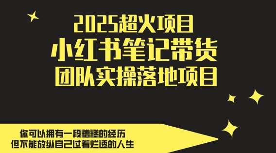 2025超火项目，副业最佳选择，小红书笔记带货团队实操落地项目，，轻松日入5张网赚项目-副业赚钱-互联网创业-独家轻创IP星泽云创