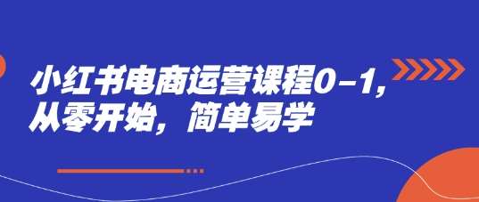 小红书电商运营课程0-1，从零开始，简单易学网赚项目-副业赚钱-互联网创业-独家轻创IP星泽云创