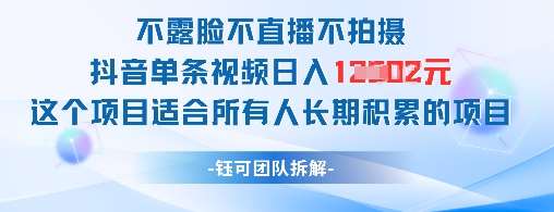 不露脸不直播不拍摄抖音单条视频日入1k+这个项目适合所有人长期积累的项目网赚项目-副业赚钱-互联网创业-独家轻创IP星泽云创