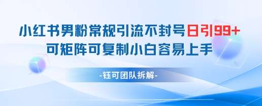 小红书男粉常规引流不封号日引99+变现简单 可矩阵可复制小白容易上手网赚项目-副业赚钱-互联网创业-独家轻创IP星泽云创