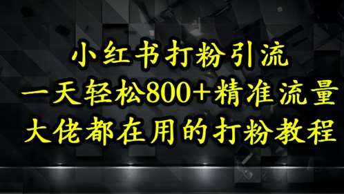 小红书打粉引流，一天轻松500+精准流量，大佬都在用的打粉教程网赚项目-副业赚钱-互联网创业-独家轻创IP星泽云创
