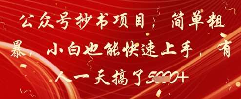 公众号抄书项目，简单粗暴，小白也能快速上手，有人一天搞了1k+网赚项目-副业赚钱-互联网创业-独家轻创IP星泽云创