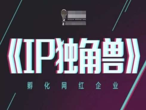 IP独角兽，孵化网红企业，ip教程网赚项目-副业赚钱-互联网创业-独家轻创IP星泽云创
