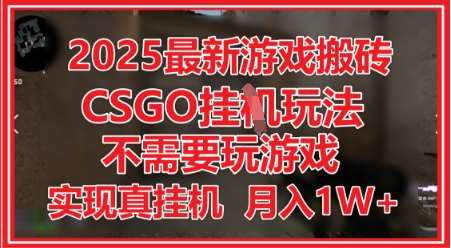 2025最新游戏搬砖，CSGO挂G，不需要玩游戏，实现真挂G，月入1W+【揭秘】网赚项目-副业赚钱-互联网创业-独家轻创IP星泽云创