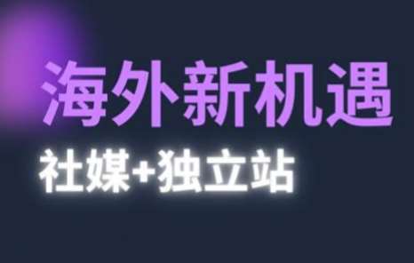 2025出海新机遇(社媒+独立站)，海外新机遇，实现独立站的高效运营与出海网赚项目-副业赚钱-互联网创业-独家轻创IP星泽云创