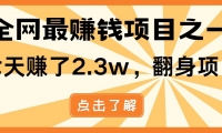 （14723期）暴利项目，每天被动收益1500+，长期管道收益！0成本自己做老板！网赚项目-副业赚钱-互联网创业-独家轻创IP星泽云创