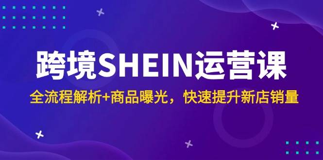 （14832期）跨境SHEIN运营课，全流程解析+商品曝光，快速提升新店销量网赚项目-副业赚钱-互联网创业-独家轻创IP星泽云创