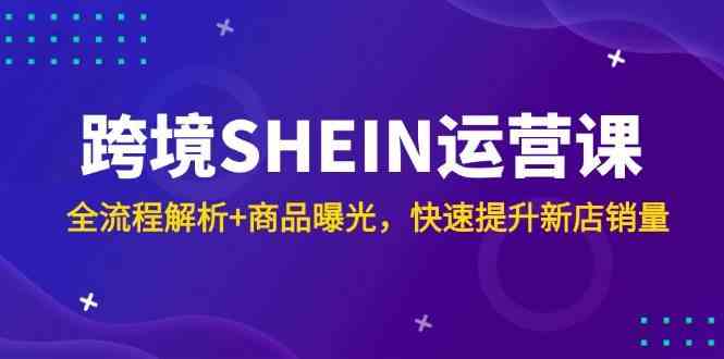 跨境SHEIN运营课，全流程解析+商品曝光，快速提升新店销量网赚项目-副业赚钱-互联网创业-独家轻创IP星泽云创