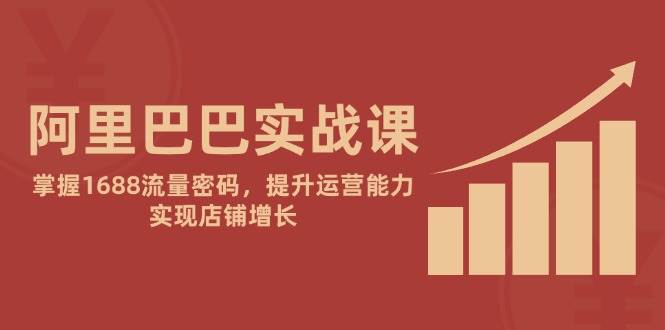 （14830期）阿里巴巴实战课：掌握1688流量密码，提升运营能力，实现店铺增长网赚项目-副业赚钱-互联网创业-独家轻创IP星泽云创