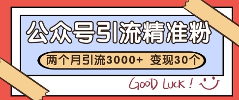 公众号精准粉引流玩法，2个月3000+精准粉，变现30个W【揭秘】网赚项目-副业赚钱-互联网创业-独家轻创IP星泽云创