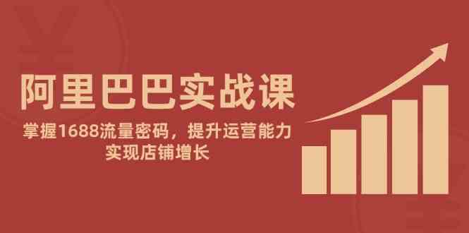 阿里巴巴实战课：掌握1688流量密码，提升运营能力，实现店铺增长网赚项目-副业赚钱-互联网创业-独家轻创IP星泽云创