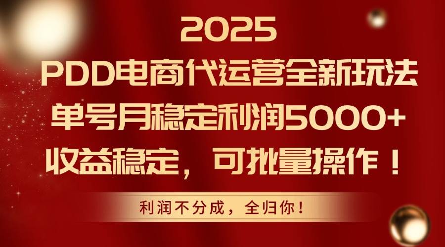 （14839期）2025PDD电商代运营全新玩法，单号月稳定利润5000+，收益稳定，可批量操作网赚项目-副业赚钱-互联网创业-独家轻创IP星泽云创